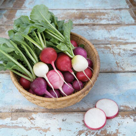 Easter Egg, Radish Seeds